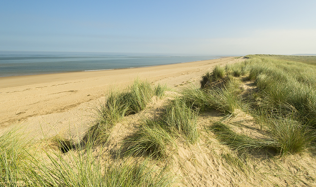 The Top of the Dunes